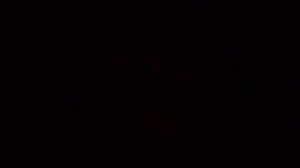 Убийство Семьи Царя Николая 2