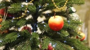 Святки и рождественский бал. Территория Тольятти