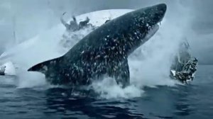 Атака гигантского мегалодона. Воздушный маршал Нова защищает