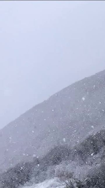 Зима на Юге смотреть онлайн