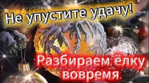 Не упустите Удачу! Разбирайте ёлку вовремя!