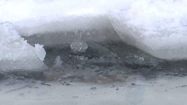 Новое место для крещенских купаний смотреть онлайн