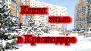 Самая шикарная зима в Краснодаре