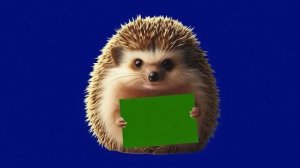 Ёжик с плакатом под фото_encoded