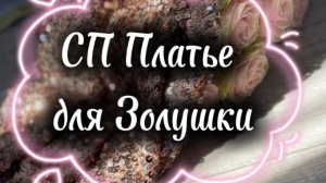 СП Платье для Золушки с Анжеликой Ботовой|отчет январь