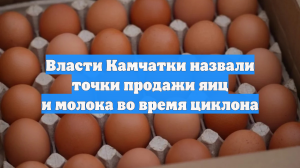 Власти Камчатки назвали точки продажи яиц и молока во время циклона