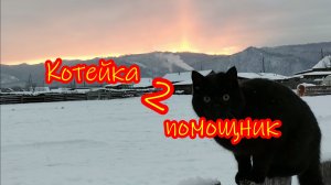 Начинаем утро с котейкой.