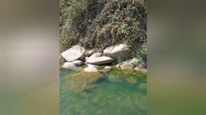 Река Пшада, Краснодарский край