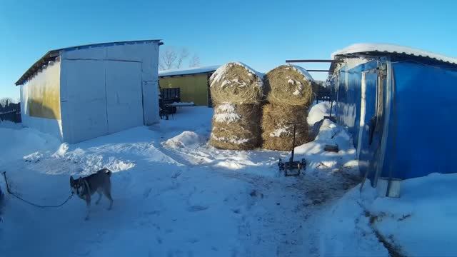 Где теплее после -36 ? Обычный гараж против гаража-парника из мешков и поликарбоната🤔 смотреть онлайн
