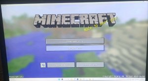 Играем в майн