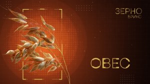 «Зерно БРИКС». Овес