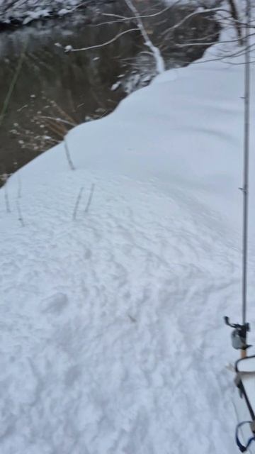 Ловлю на московской микроречке с мормышингом и лайтом. Поймал неплохого для данных мест окуня смотреть онлайн