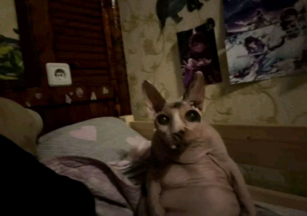 музыка смотреть онлайн