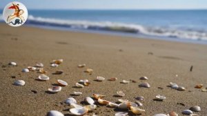 Воскресная ПРОПОВЕДЬ. Почему Много Званных, но Мало Избранных. Протоиерей Павел