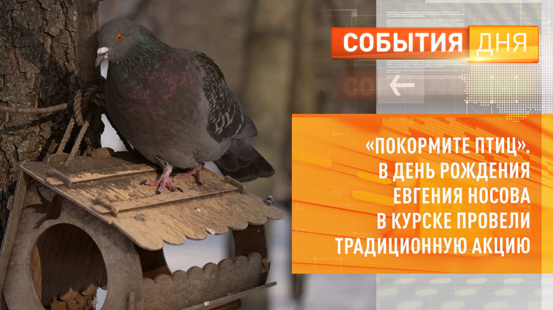 «Покормите птиц». В День рождения Евгения Носова в Курске провели традиционную акцию смотреть онлайн