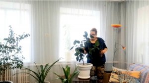 997 Творожное печенье.Зелёные яйца. Живём по средствам. Снег не прекращается.