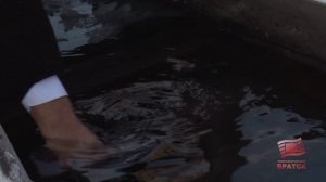 Братчане отметят большой православный праздник - Крещение Господне