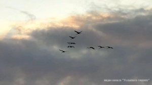 "Журавли" - Марк Бернес