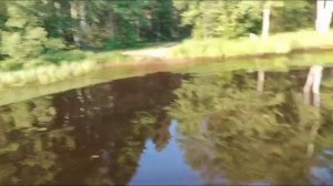 Вездеход Вольво BV 202.mp4