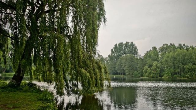 Елена Карпук - Деревенька моя смотреть онлайн