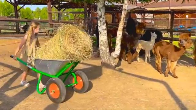 Полезные знания детям от Насти и папы [get.gt] смотреть онлайн