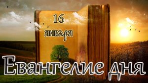 Апостол, Евангелие и Святые дня. Седмица 32-я по Пятидесятнице. (16.01.26)