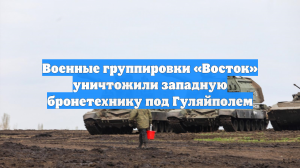 Военные группировки «Восток» уничтожили западную бронетехнику под Гуляйполем