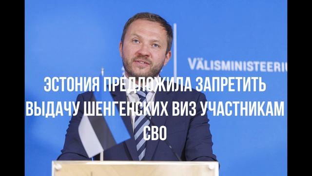 Эстония предложила запретить выдачу шенгенских виз участникам СВО смотреть онлайн