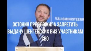 Эстония предложила запретить выдачу шенгенских виз участникам СВО