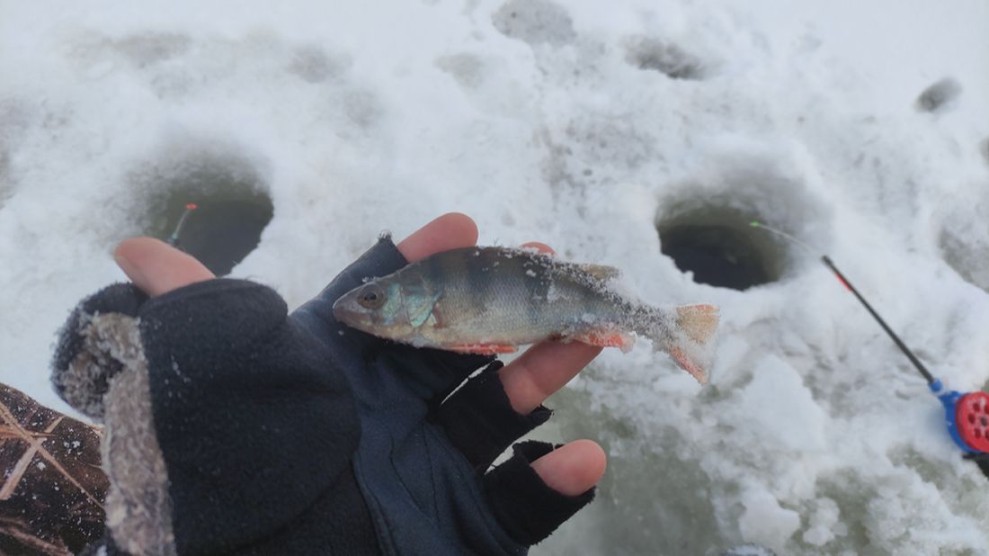 ЗИМНЯЯ РЫБАЛКА ОТКРЫТИЕ 2026 смотреть онлайн