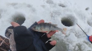 ЗИМНЯЯ РЫБАЛКА ОТКРЫТИЕ 2026