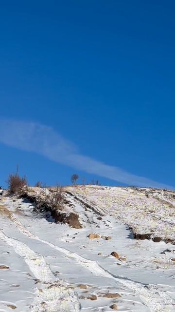 Нива 💪 смотреть онлайн