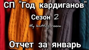 СП "Год кардиганов". Сезон 2. Отчет за январь.