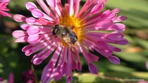 Лето, ты где?