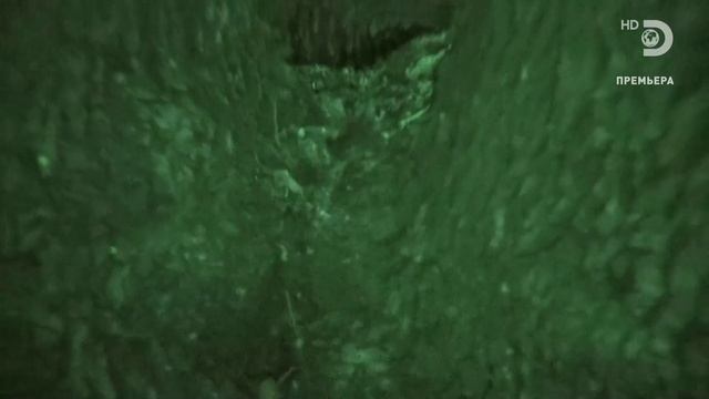 Голые и напуганные 14 сезон 5 серия (реалити-шоу, 2021) смотреть онлайн