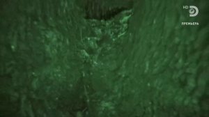 Голые и напуганные 14 сезон 5 серия (реалити-шоу, 2021)