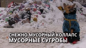 В Саратове спецтехника не может вывозить мусор