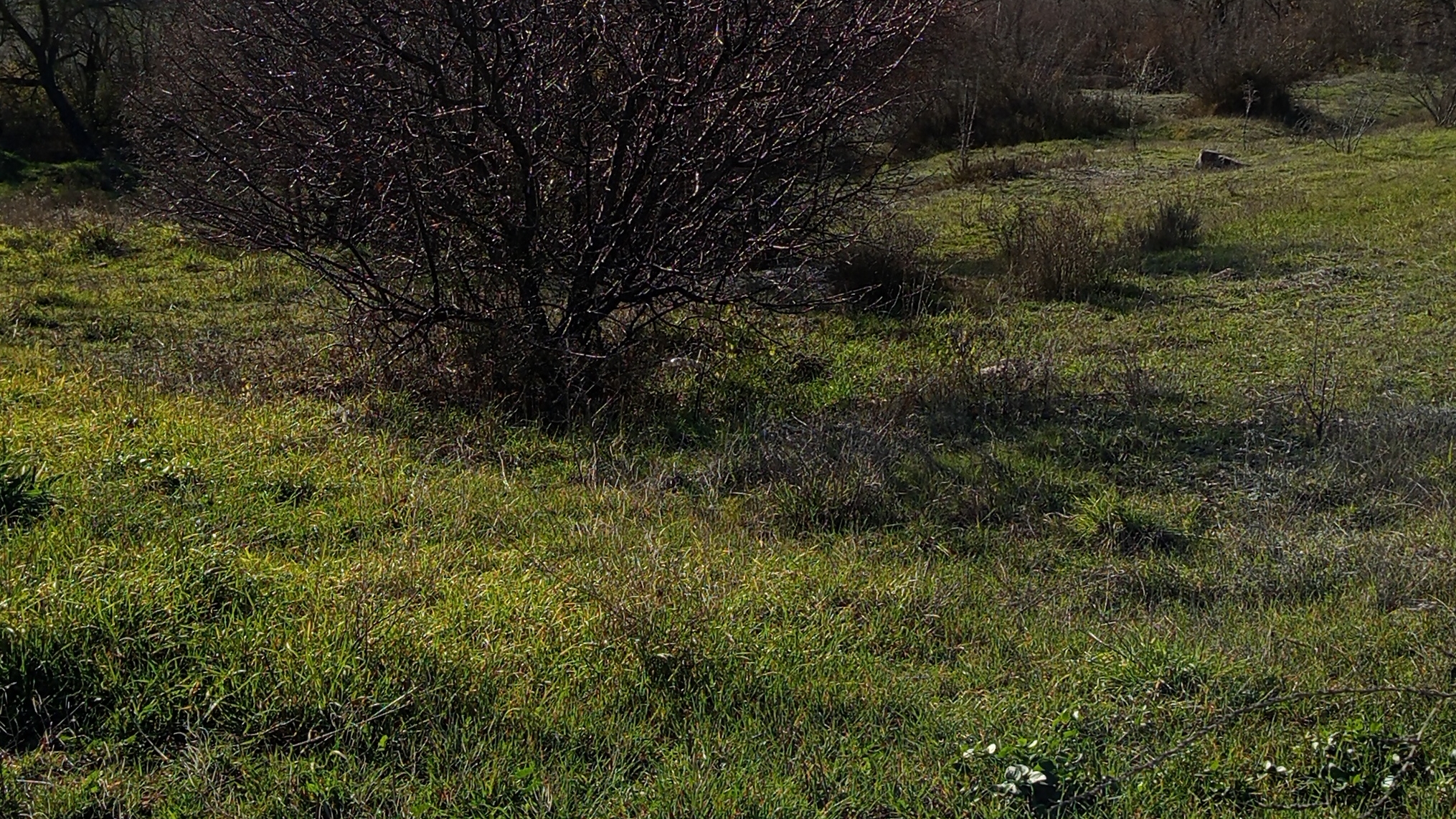 видео про войну