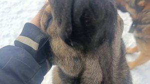 Херсонщина 15 января 2026 года