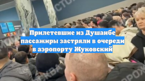 Прилетевшие из Душанбе пассажиры застряли в очереди в аэропорту Жуковский
