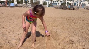 Алиса в Катаре 2026