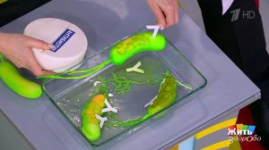 Анализы, которые не нужны. Жить здорово! Фрагмент выпуска от 15.01.2026