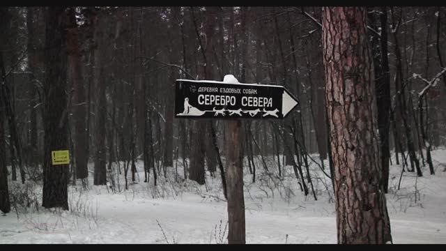 " Хаски " Музыкальная шкатулка смотреть онлайн