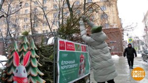 Елка - это вам не мусор! Доброе утро. Фрагмент выпуска от 15.01.2026