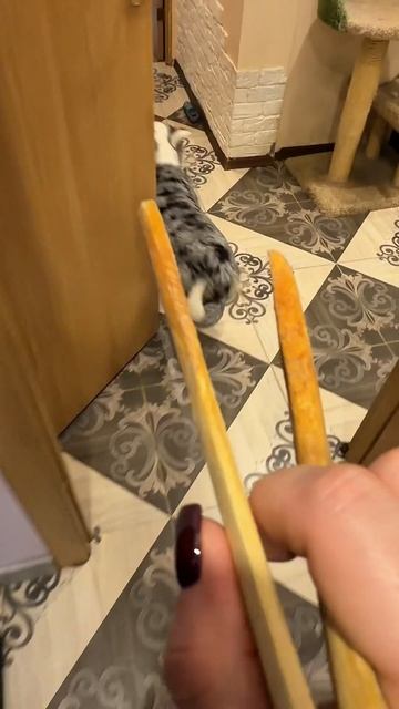 Погоня за сосиской смотреть онлайн