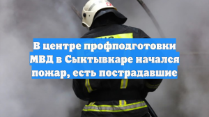 В Сыктывкаре в центре профподготовки МВД произошел пожар