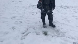 поимка форели на ратлин