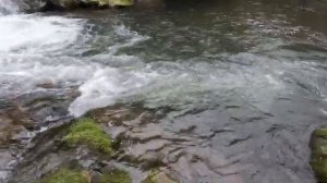 ЛОВЛЯ ФОРЕЛИ ЗИМОЙ В МИКРОРУЧЬЕ. Первая рыбалка сезона