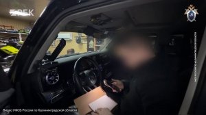 Главу нацпарка «Куршская коса» заподозрили в незаконной вырубке леса