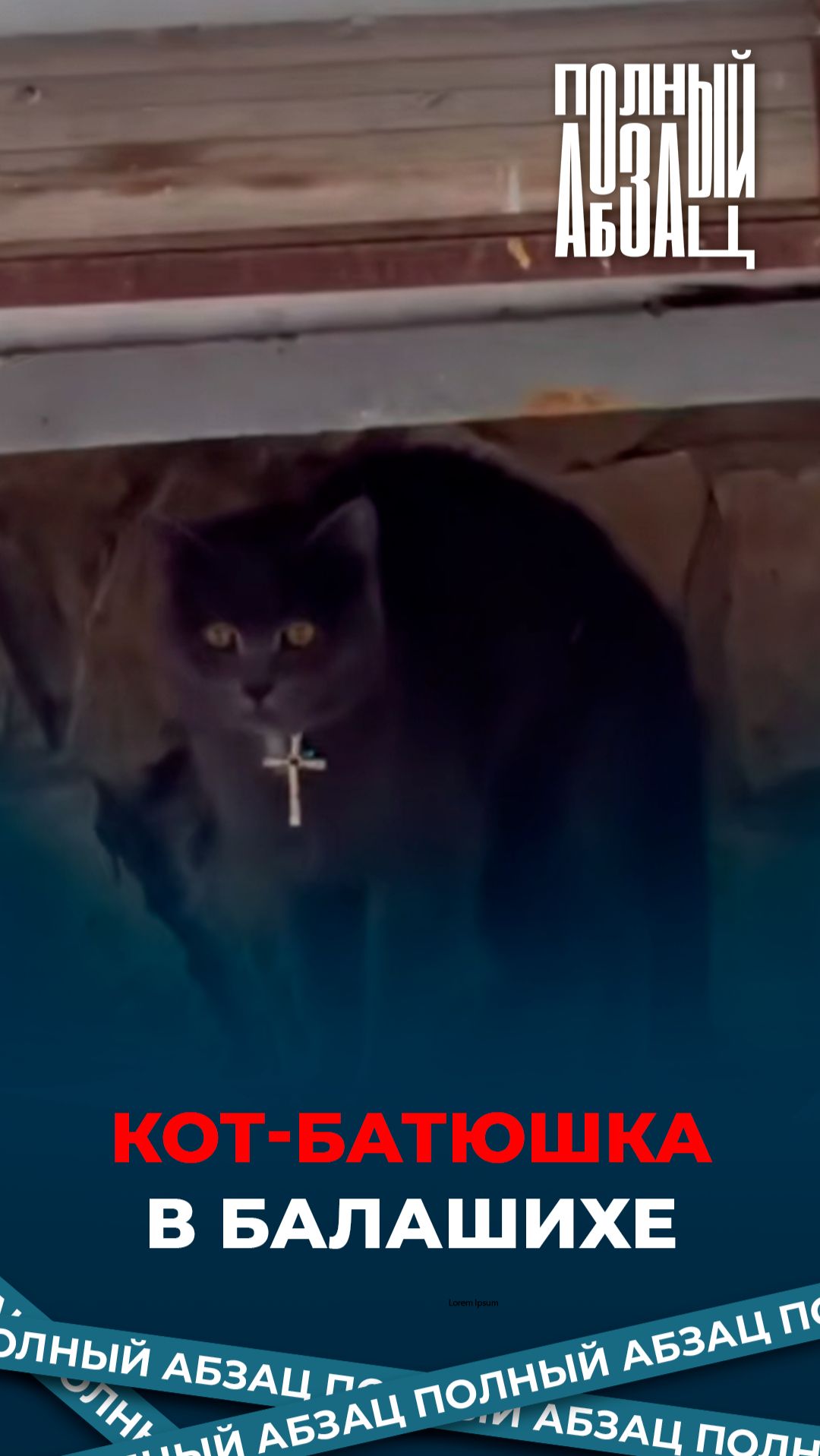 Кот-батюшка в Балашихе смотреть онлайн